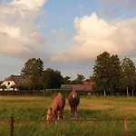 Chalet De Scherpenweide, Compleet Landelijk Gelegen Met Jacuzzi *