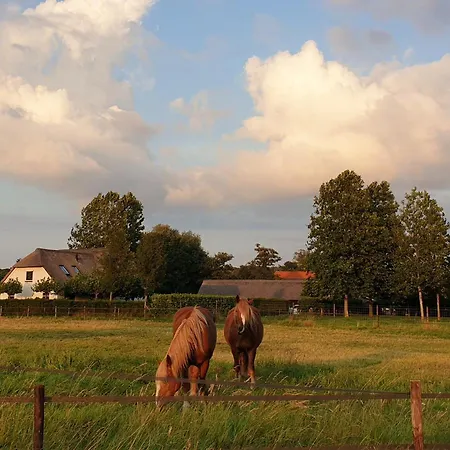 Alpesi faház De Scherpenweide, Compleet Landelijk Gelegen Met Jacuzzi *
