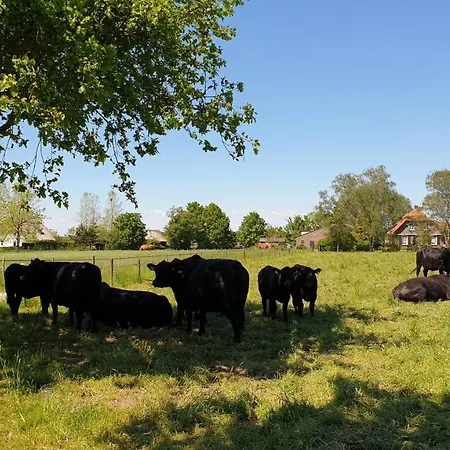 De Scherpenweide, Compleet Landelijk Gelegen Met Optie Jacuzzi Chalet Leur