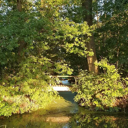 Domek alpejski De Scherpenweide