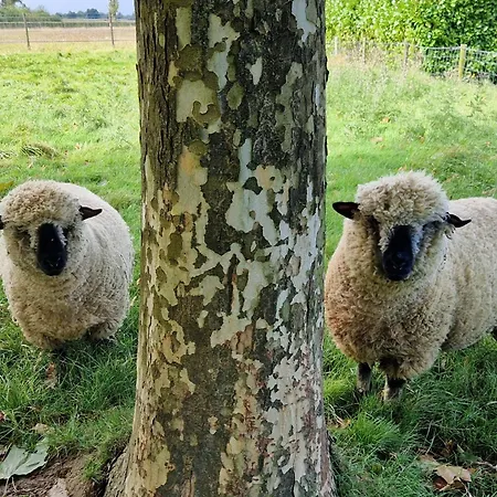 Alpstuga De Scherpenweide *