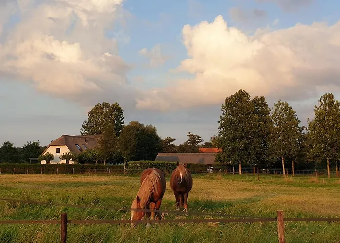 Alpstuga De Scherpenweide *