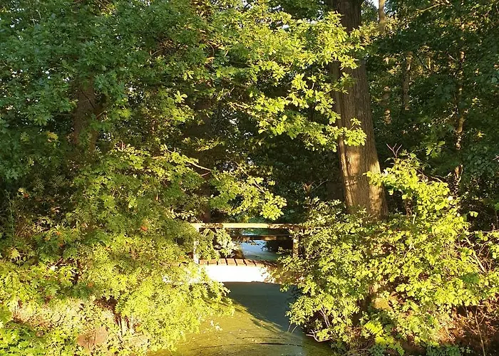 Alpesi faház De Scherpenweide