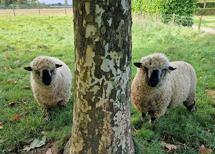 Alpstuga De Scherpenweide *