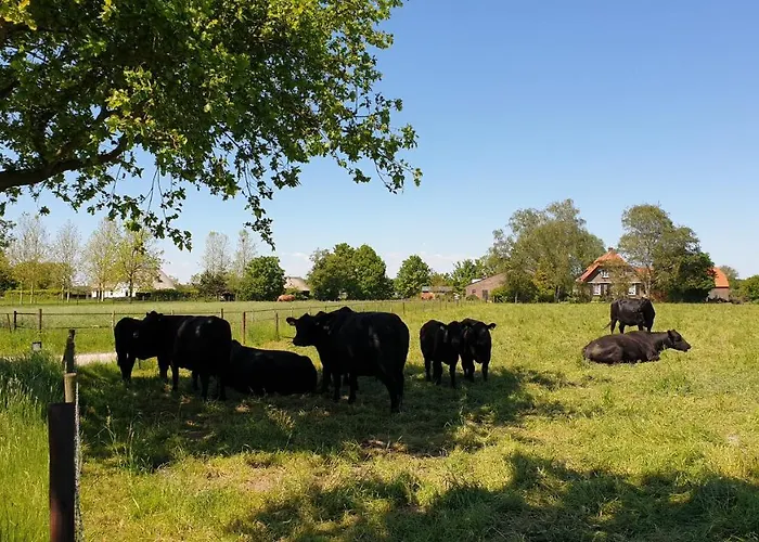 De Scherpenweide Alpesi faház Leur